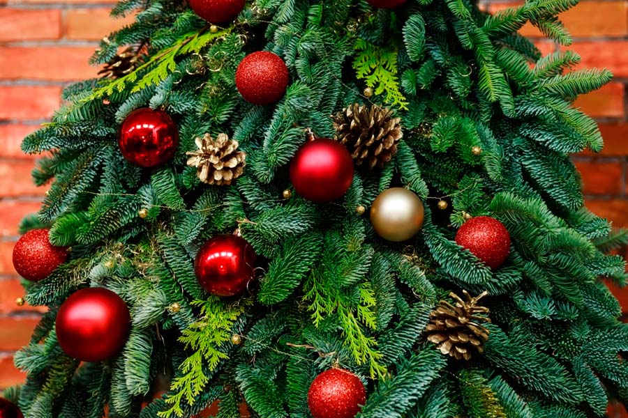 Cuándo se recomienda desarmar el árbol de Navidad